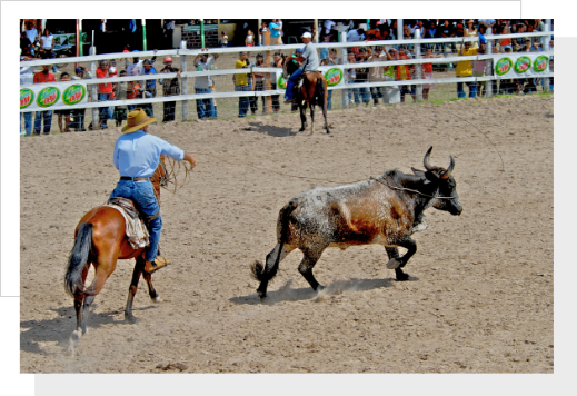 Rodeo Stories from the Savannahs